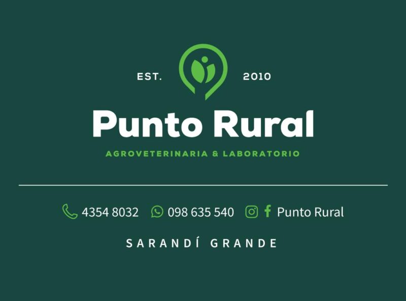 ADRIANA FERNANDEZ BUFFONI ADRIANA FERNANDEZ BUFFONI